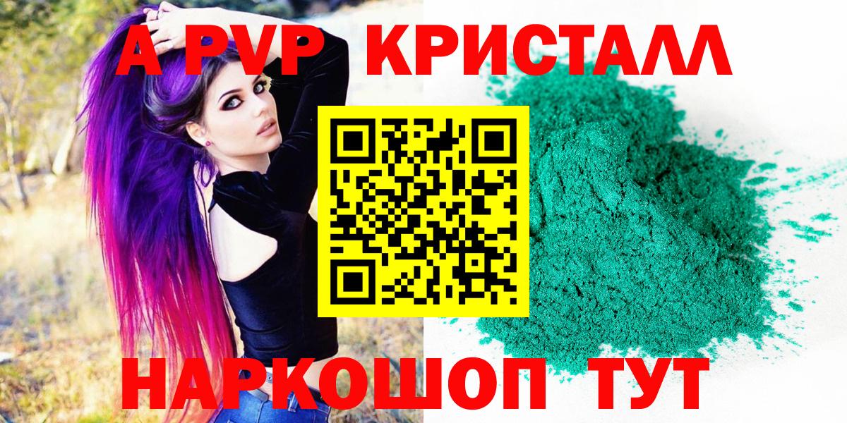 Альфа ПВП СК Выборг
