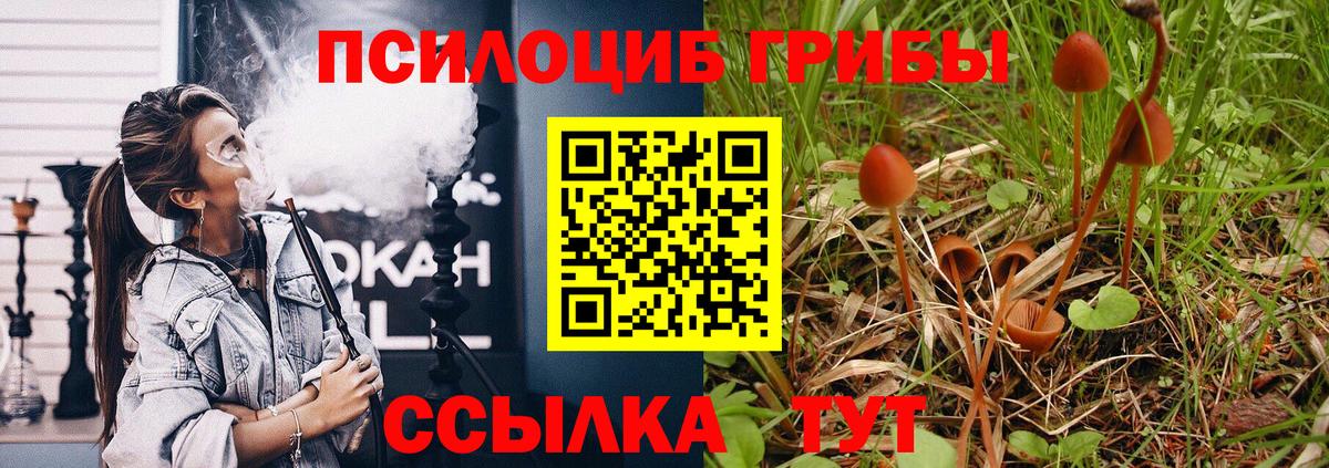 Псилоцибиновые грибы мухоморы  Вход с VPN  Выборг 